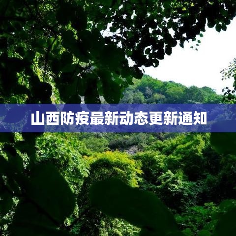 山西防疫最新动态更新通知