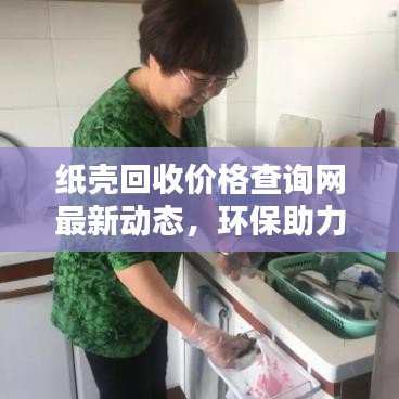 纸壳回收价格查询网最新动态，环保助力，轻松掌握纸壳回收价格趋势