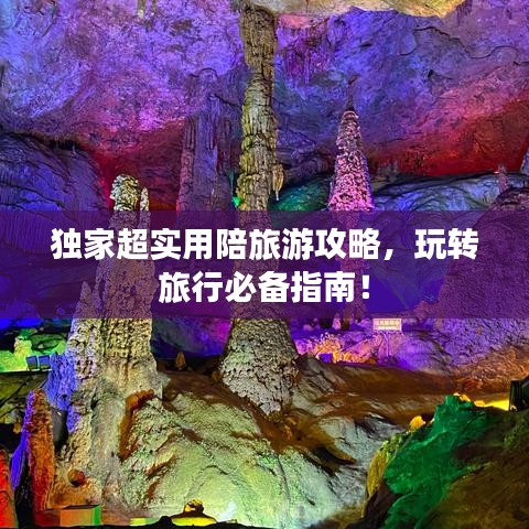 独家超实用陪旅游攻略，玩转旅行必备指南！