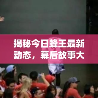 揭秘今日蜂王最新动态，幕后故事大揭秘