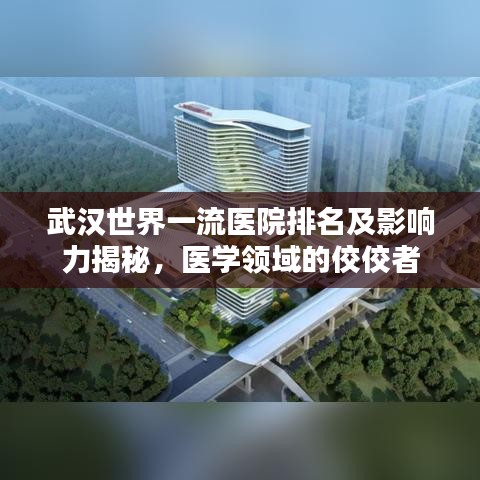 武汉世界一流医院排名及影响力揭秘，医学领域的佼佼者