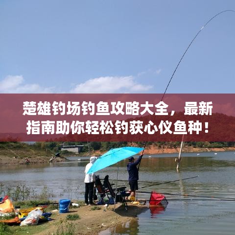 楚雄钓场钓鱼攻略大全，最新指南助你轻松钓获心仪鱼种！