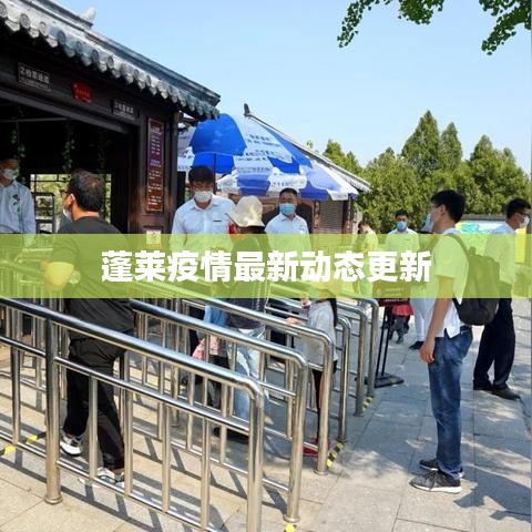 蓬莱疫情最新动态更新