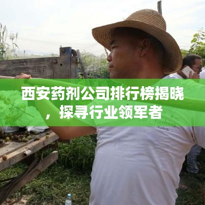 西安药剂公司排行榜揭晓，探寻行业领军者