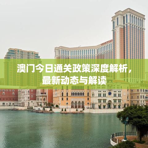 澳门今日通关政策深度解析，最新动态与解读
