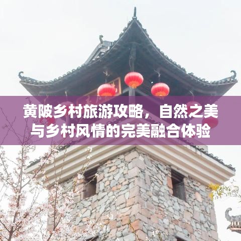 黄陂乡村旅游攻略，自然之美与乡村风情的完美融合体验
