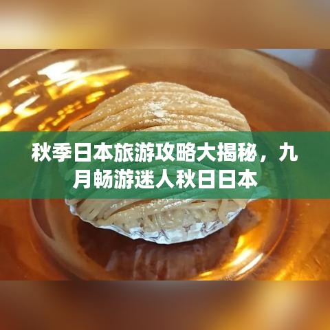 秋季日本旅游攻略大揭秘，九月畅游迷人秋日日本