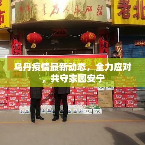 乌丹疫情最新动态，全力应对，共守家园安宁