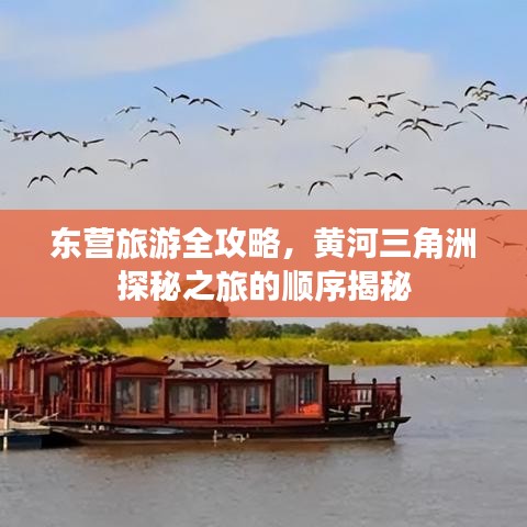 东营旅游全攻略，黄河三角洲探秘之旅的顺序揭秘