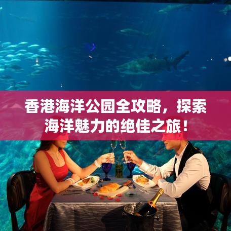 香港海洋公园全攻略，探索海洋魅力的绝佳之旅！