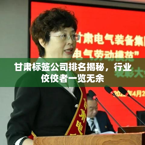 甘肃标签公司排名揭秘，行业佼佼者一览无余