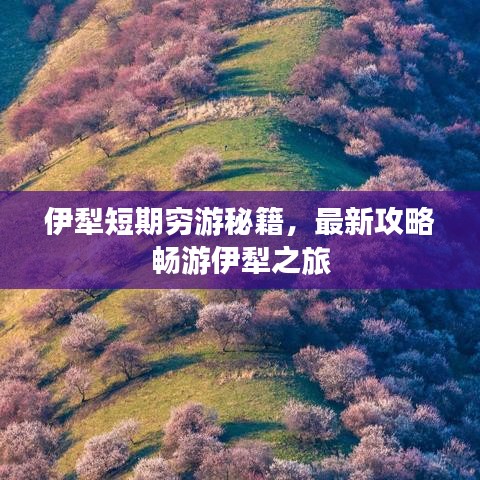 伊犁短期穷游秘籍，最新攻略畅游伊犁之旅