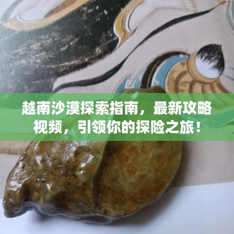 越南沙漠探索指南，最新攻略视频，引领你的探险之旅！