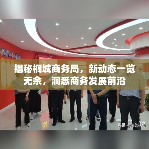 揭秘桐城商务局，新动态一览无余，洞悉商务发展前沿