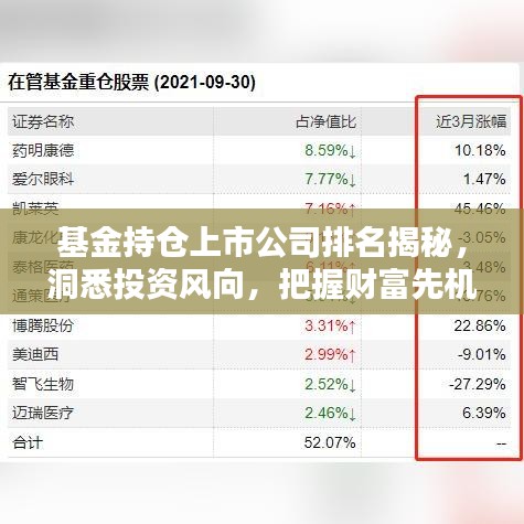 基金持仓上市公司排名揭秘，洞悉投资风向，把握财富先机