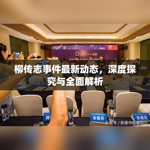 柳传志事件最新动态，深度探究与全面解析