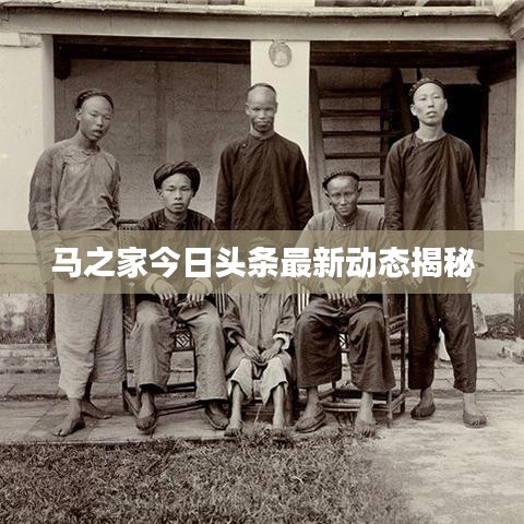 马之家今日头条最新动态揭秘