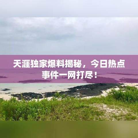 天涯独家爆料揭秘，今日热点事件一网打尽！