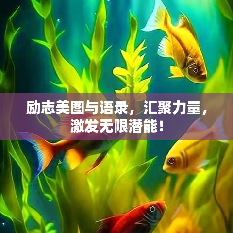 励志美图与语录，汇聚力量，激发无限潜能！