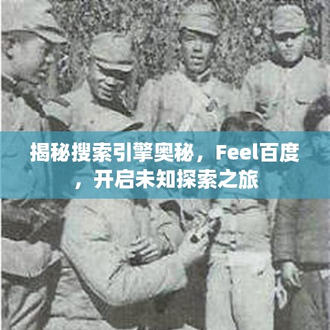 揭秘搜索引擎奥秘，Feel百度，开启未知探索之旅
