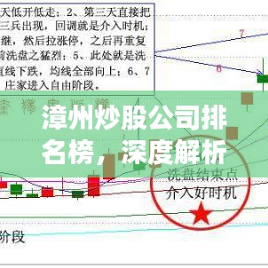 漳州炒股公司排名榜，深度解析与评估报告