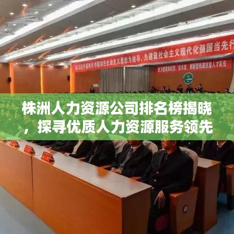 株洲人力资源公司排名榜揭晓，探寻优质人力资源服务领先者