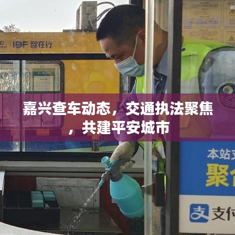 嘉兴查车动态，交通执法聚焦，共建平安城市