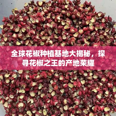 全球花椒种植基地大揭秘，探寻花椒之王的产地荣耀