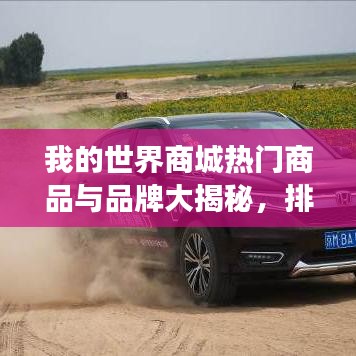我的世界商城热门商品与品牌大揭秘，排名榜探索之旅