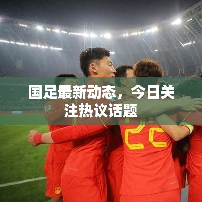 国足最新动态，今日关注热议话题