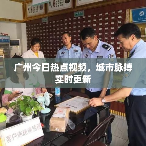 广州今日热点视频，城市脉搏实时更新