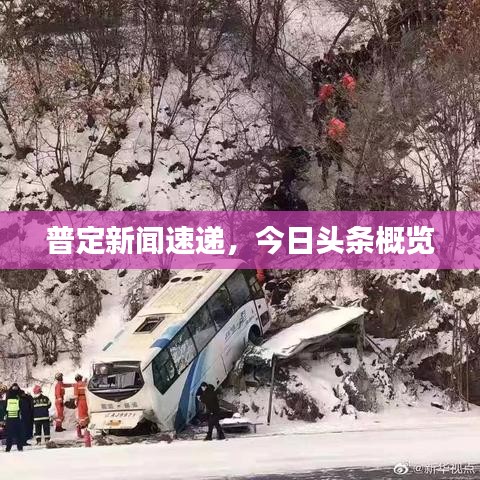普定新闻速递，今日头条概览