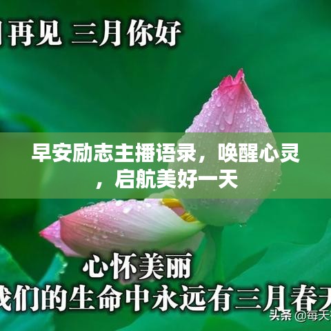 早安励志主播语录，唤醒心灵，启航美好一天