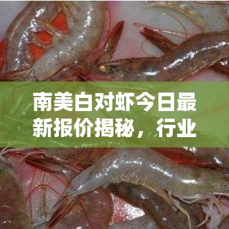 南美白对虾今日最新报价揭秘，行业趋势引领者的水产珍品风采