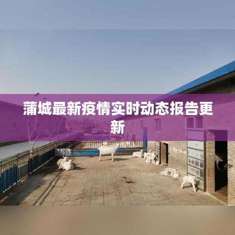 蒲城最新疫情实时动态报告更新