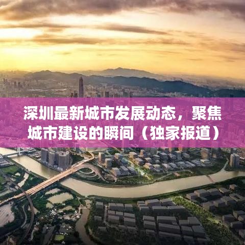 深圳最新城市发展动态，聚焦城市建设的瞬间（独家报道）