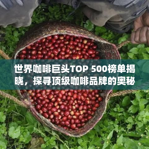 世界咖啡巨头TOP 500榜单揭晓，探寻顶级咖啡品牌的奥秘之旅