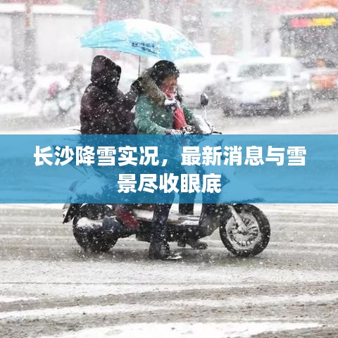 长沙降雪实况，最新消息与雪景尽收眼底