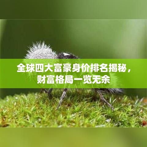 全球四大富豪身价排名揭秘，财富格局一览无余