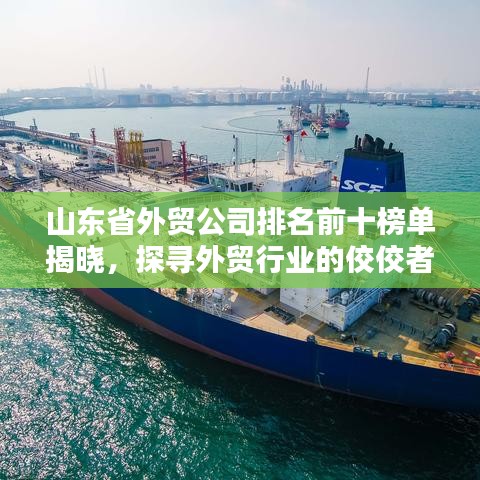 山东省外贸公司排名前十榜单揭晓，探寻外贸行业的佼佼者！