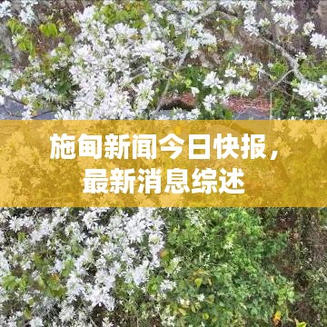 施甸新闻今日快报，最新消息综述