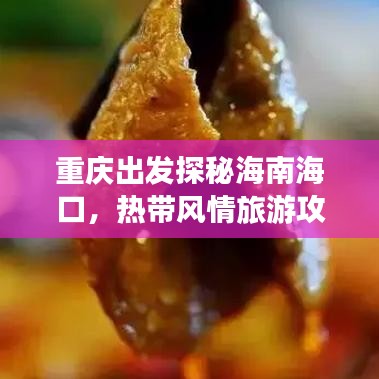 重庆出发探秘海南海口，热带风情旅游攻略全解析