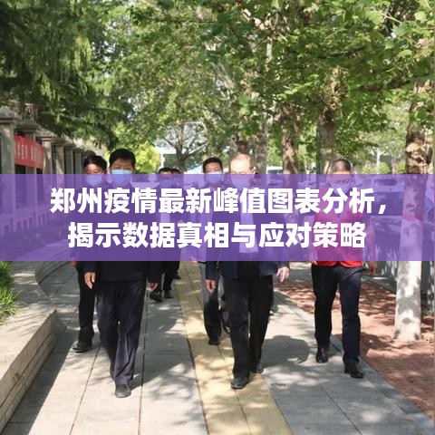 郑州疫情最新峰值图表分析，揭示数据真相与应对策略