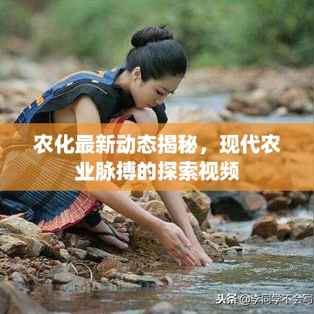 农化最新动态揭秘，现代农业脉搏的探索视频
