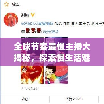 全球节奏最慢主播大揭秘，探索慢生活魅力的媒体之旅