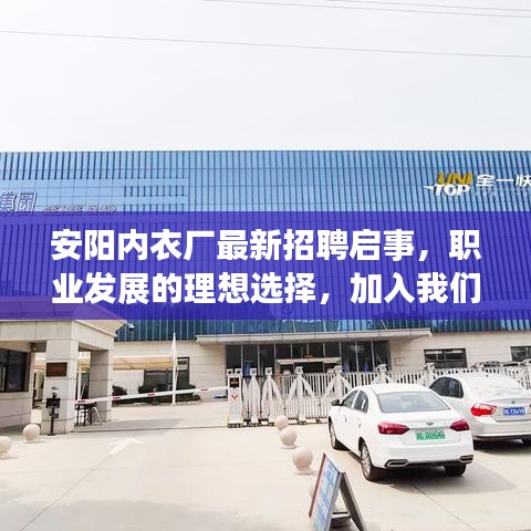安阳内衣厂最新招聘启事，职业发展的理想选择，加入我们一起成就未来！