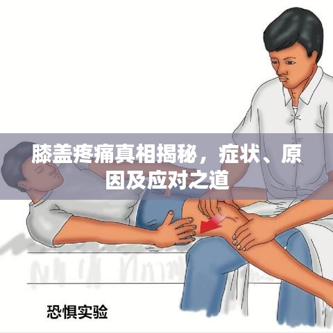 膝盖疼痛真相揭秘，症状、原因及应对之道