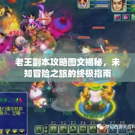 老王副本攻略图文揭秘，未知冒险之旅的终极指南