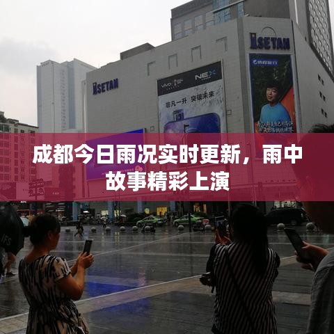 成都今日雨况实时更新，雨中故事精彩上演