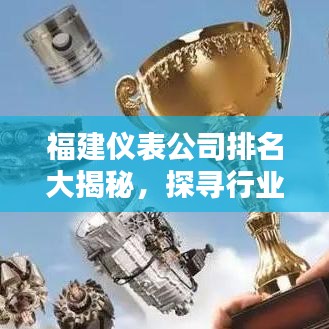 福建仪表公司排名大揭秘，探寻行业领军者，不容错过的权威榜单！